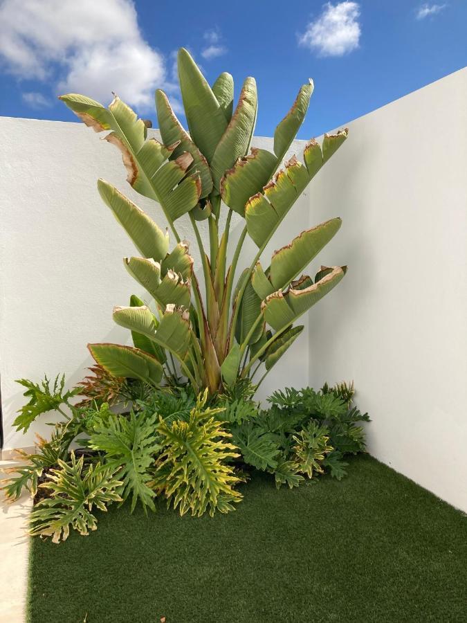 Casa Alice Villa Playa Blanca  Kültér fotó