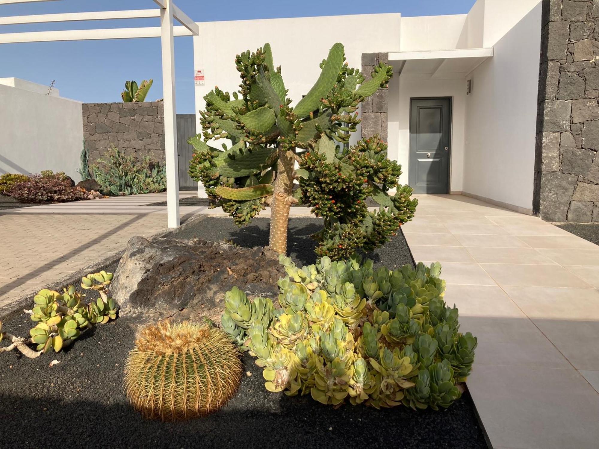 Casa Alice Villa Playa Blanca  Kültér fotó